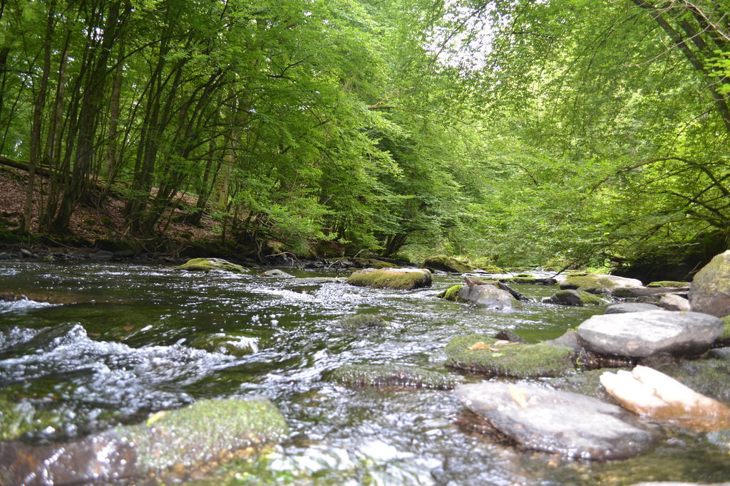 Gite La Clef Des Champs Libin Exteriör bild