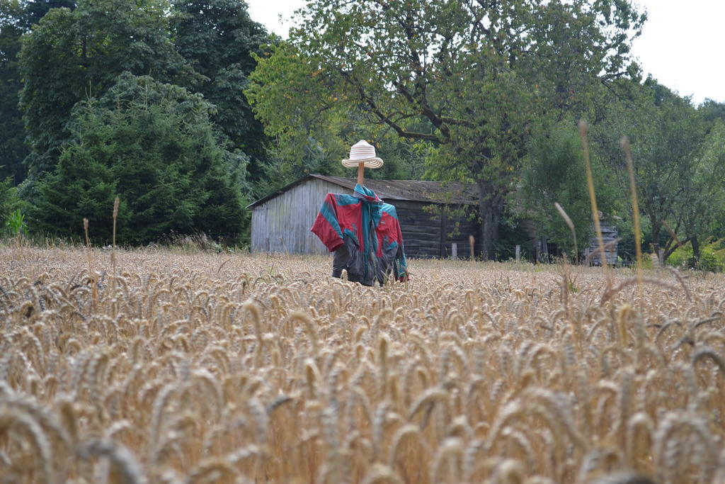 Gite La Clef Des Champs Libin Exteriör bild