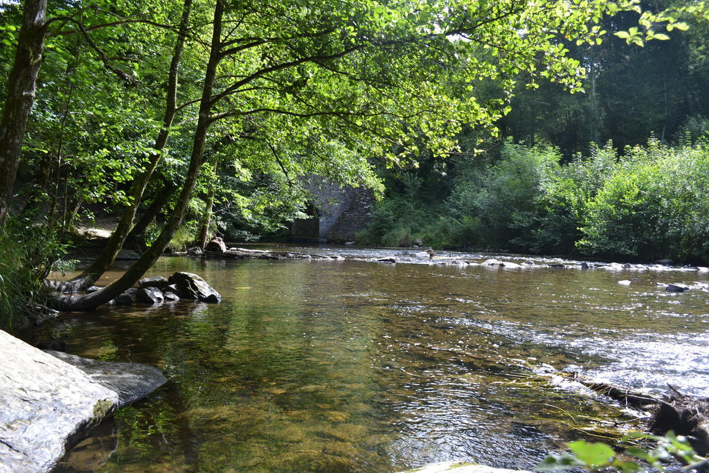 Gite La Clef Des Champs Libin Exteriör bild